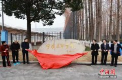 宁波足球学院2026年9月招生 朱广沪受聘学术院长